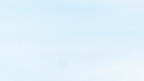 Este lunes 9 de junio entró en vigor la orden firmada por Trump.
