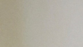 El senador Padilla ofreció una conferencia en donde dio detalles de su incidente.