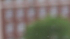 A los solicitantes se les exigirá tener en público los perfiles de sus redes sociales.