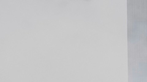 Rusia y China condenaron "enérgicamente las acciones de Israel".