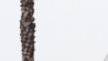 El gobernador Newsom anunció el envío de más soldados a Los Ángeles.