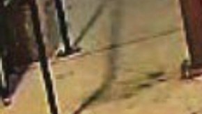 Se encuentran detenidos en la Cárcel del Condado de Thurston.