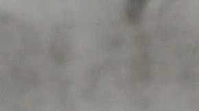 Las expulsiones de migrantes albañiles agravarían la crisis de vivienda que experimenta Florida desde 2018 y que se aceleró con la pandemia de la covid-19.