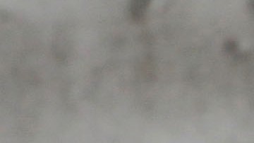 Las expulsiones de migrantes albañiles agravarían la crisis de vivienda que experimenta Florida desde 2018 y que se aceleró con la pandemia de la covid-19.