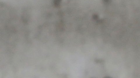 Las expulsiones de migrantes albañiles agravarían la crisis de vivienda que experimenta Florida desde 2018 y que se aceleró con la pandemia de la covid-19.