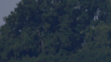 La aeronave estaba bajo el agua cuando los bomberos se apersonaron en el sitio en uno de sus botes de rescate unos 25 minutos tras el accidente.