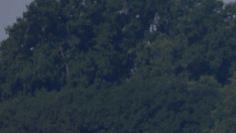 La aeronave estaba bajo el agua cuando los bomberos se apersonaron en el sitio en uno de sus botes de rescate unos 25 minutos tras el accidente.