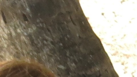 Ancianos en San Juan, Puerto Rico