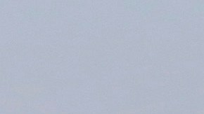 Brandon vivía con su madre y sus dos hermanas mayores en Port Richmond, y sus sobrinos y sobrinas lo admiraban por su compromiso con el fitness.