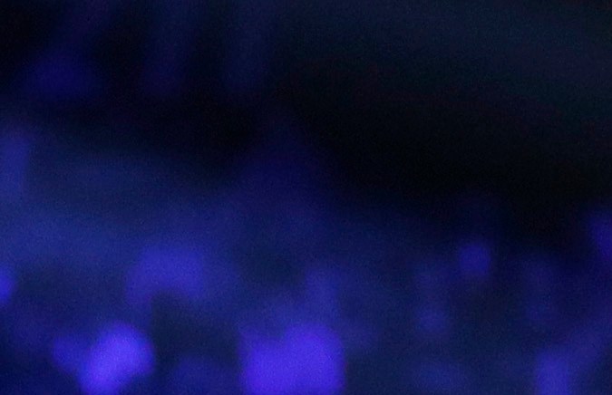 Pelea de Vaquero Navarrete y Charly Suárez se repetirá.