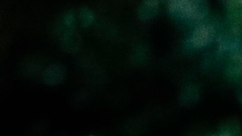 El hombre detrás del volante no ha sido detenido, aunque la investigación por el suceso sigue en curso.
