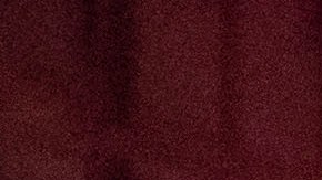 El incidente se produjo tras un partido de la Copa Oro.