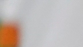 Los aficionados de Seattle Sounders apoyaron la medida colectiva de protesta.