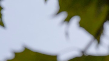 El 30 de mayo, la Corte Suprema avaló terminar con el 'parole humanitario' CHNV.