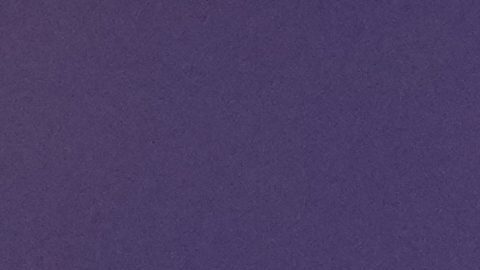 Alejandro Gómez, Lucas Ocampos, Nicolás Pareja y Javier Saviola denunciados por presunta criptoestafa en España