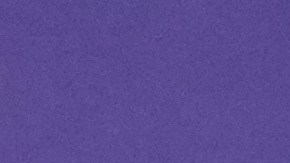 Javier Saviola asegura que la Liga MX debería competir en Libertadores.