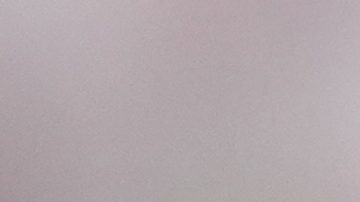 Cómo es el protocolo antirracismo que se activó en el Mundial de Clubes por insultos a Antonio Rüdiger