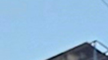 La pareja nació en Nueva York.