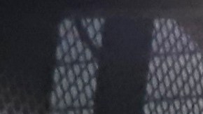 Personal de vigilancia de la prisión CECOT en El Salvador.