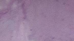 Rótulos en apoyo a migrantes en Puerto Rico