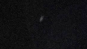 Alexander Sorloth no pudo estrellar el casillero de goles del Atlético de Madrid.