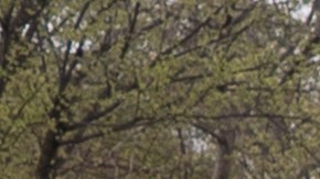 La protesta fue organizada por dos grupos de defensa: About Face: Veteranos Contra la Guerra y Veteranos por la Paz.