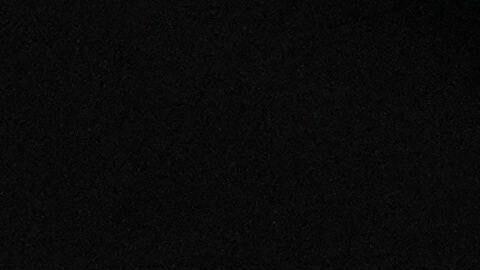 Este sería el último miembro del equipo de DOGE en dejar al gobierno de Trump, una lista que ya incluía a Musk, quien dejó la Casa Blanca a finales de mayo y empezó una disputa de pocos días con el mandatario.