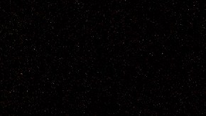 Las quejas sobre ratas al 311 subieron casi un 8% en los dos primeros años del Adams en el puesto de alcalde, pese a su publicitada guerra multimillonaria contra las ratas.