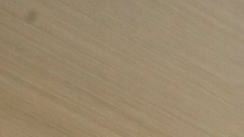 En el mes de mayo de este 2025, casi 600 contratistas de VOA fueron despedidos.