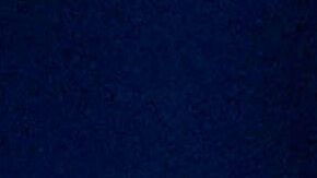 Lyons llamó a los migrantes arrestados “criminales peligrosos” que están “aterrorizando a familiares, amigos y vecinos”.