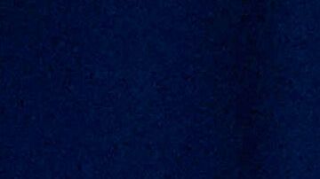 Lyons llamó a los migrantes arrestados “criminales peligrosos” que están “aterrorizando a familiares, amigos y vecinos”.