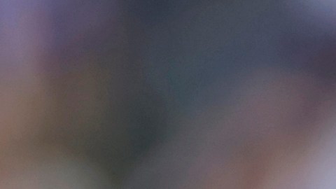 Juan Soto en su primera temporada con los Mets.