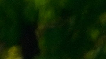 Albañiles en espacio de construcción en Auburn, Maine