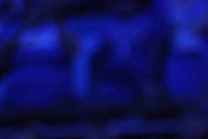 Oklahoma City Thunder levantando el trofeo de la Conferencia Oeste.