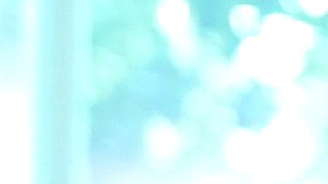 La iniciativa para hablar la habría tenido Musk.