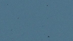 Desde el inicio de la guerra van 54,000 muertos.