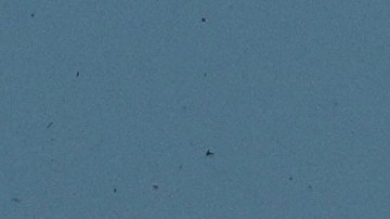 Desde el inicio de la guerra van 54,000 muertos.