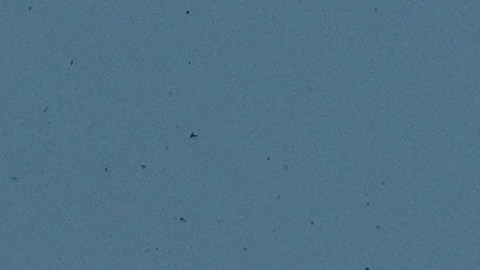 Desde el inicio de la guerra van 54,000 muertos.