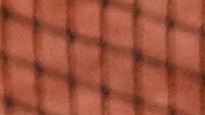 Carlos Alcaraz festeja tras vencer a Shelton en Roland Garros.