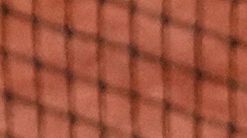 Carlos Alcaraz festeja tras vencer a Shelton en Roland Garros.