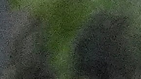 Pese al temor de los ciudadanos, autoridades dudan de asesinatos en serie.