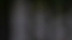 Las declaraciones la hizo la portavoz presidencial, Karoline Leavitt.