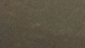 Director en funciones de ICE, Todd Lyons