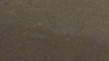 Director en funciones de ICE, Todd Lyons