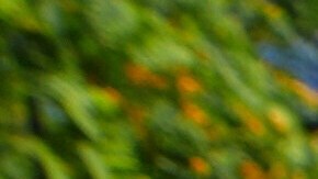 Letreros cubren un poste en el lugar de un reciente operativo de ICE en un popular restaurante italiano del barrio de South Park, el lunes 2 de junio de 2025, en San Diego.