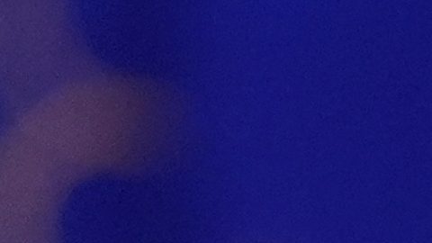 Trump y Musk habían colaborado estrechamente, el empresario sudafricano incluso donó $250 millones de dólares para la reelección del republicano y se llamaban mutuamente "amigos".