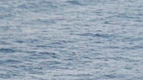 Hasta ayer por la tarde el incendio persistía.