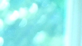 Elon Musk y el presidente Donald Trump pasaron de ser aliados a críticos.