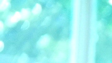 Elon Musk y el presidente Donald Trump pasaron de ser aliados a críticos.