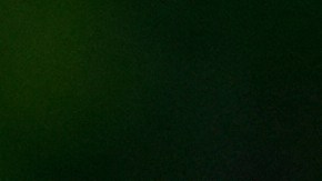 Trump también firmó otra orden dirigida a que EE.UU. recupere el liderazgo en materia de aviones supersónicos,